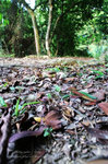 PICT0832