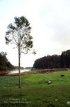 PICT0840