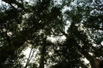 PICT0878