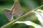 IMG_2190re
