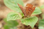 IMG_2723re