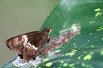 IMG_7752re