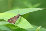 IMG_7764re