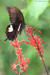 IMG_7819re