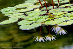 IMG_3533bre