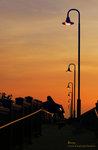 IMG_4009b