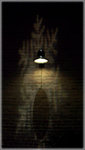 100_0594 copy