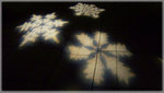 100_0614 copy
