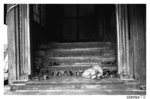 tibet_bw004