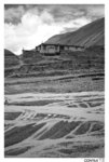 tibet_bw019