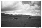tibet_bw033