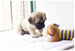 Nice to meet the new friend!