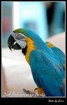 Resize of DSC_1754a1