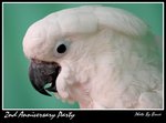 Resize of DSC_1780a1
