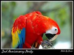 Resize of DSC_1808a1