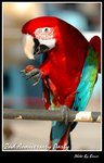 Resize of DSC_1815a1