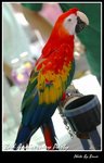 Resize of DSC_1822a1