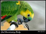 Resize of DSC_1831a1