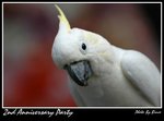 Resize of DSC_1941a1