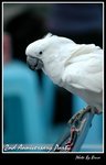 Resize of DSC_1964a1