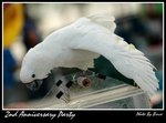 Resize of DSC_1968a1
