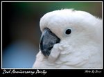 Resize of DSC_2032a1