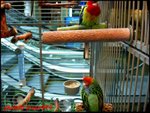 Dscn5459