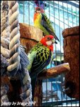 Dscn5463a