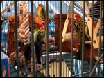 IMG_6148