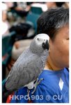 Resize of DSC_8802a1