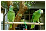 Resize of DSC_8848a1