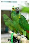 Resize of DSC_8854a1