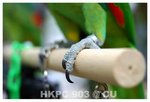 Resize of DSC_8855a1