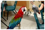 Resize of DSC_8873a1