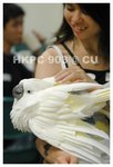Resize of DSC_8881a1