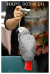 Resize of DSC_8882a1