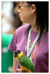 Resize of DSC_8934a1