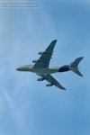 DSC_4366a1a