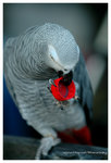 DSC_5782a1a