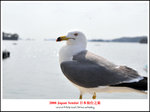 DSC_5028a1a