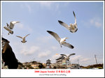 DSC_5061a1a