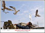 DSC_5071a1b