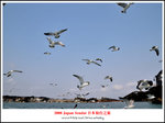 DSC_5207a1a
