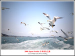 DSC_5306a1b