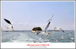 DSC_5378aw1a