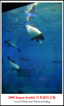 DSC_5977a1a
