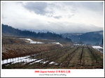 DSC_6608a2a