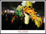 DSC_0293a1