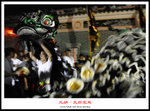 DSC_0401a1