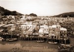 tai o_013